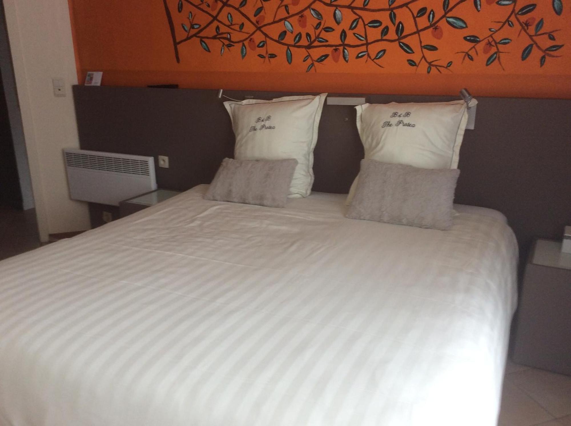 B&B The Protea Zonnebeke Esterno foto