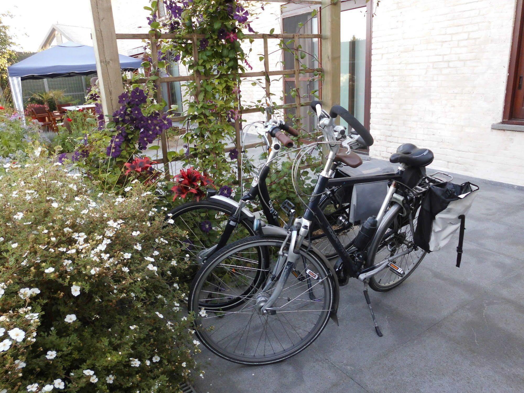 B&B The Protea Zonnebeke Esterno foto